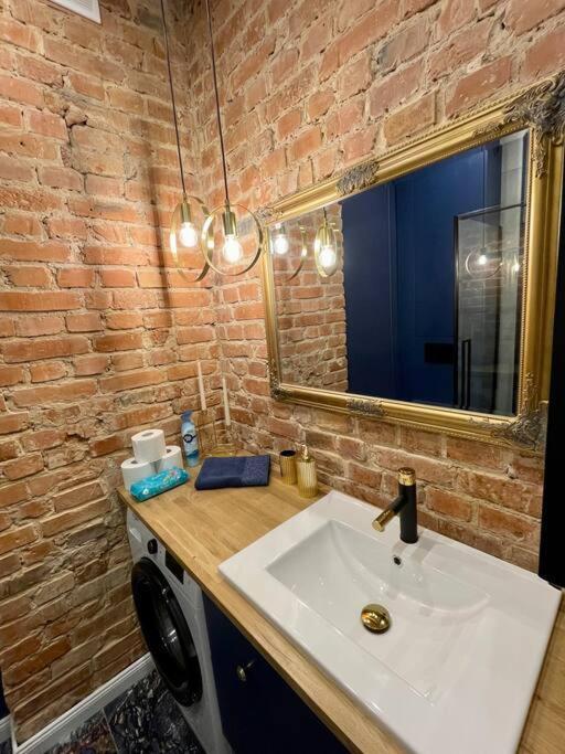Luxury Apartment In Gliwice Near Town Square エクステリア 写真